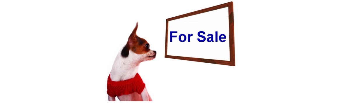 For Sale or Lease (Hospitals – Equipment) and Other Miscellaneous Ads